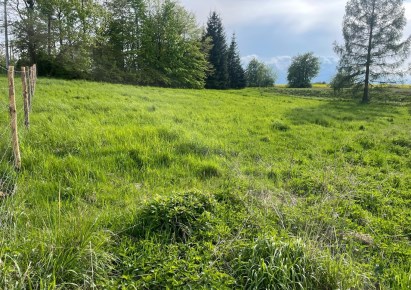 działka na sprzedaż - Hażlach, Rudnik